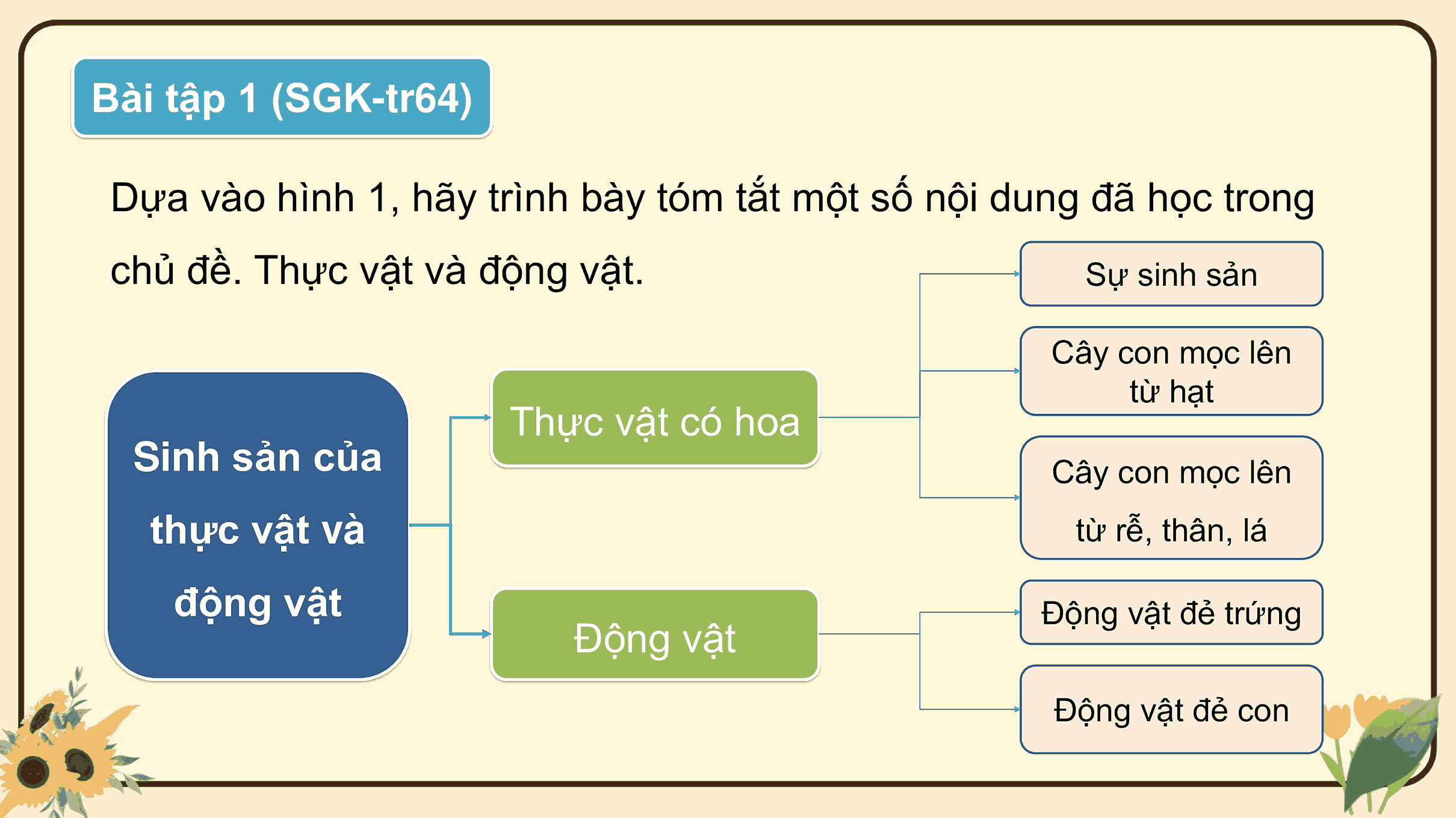 Ôn tập chủ đề Thực vật và động vật