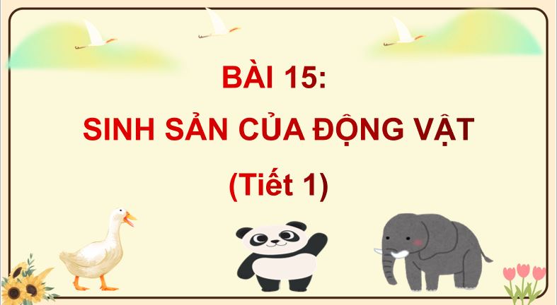 PowerPoint Khoa học 5 Sinh sản của động vật