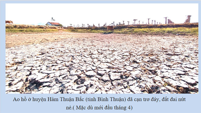 Giáo án PowerPoint Địa lí 9 bài 16