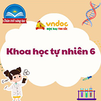 Khoa học tự nhiên 6 Bài 42: Bảo toàn năng lượng và sử dụng năng lượng