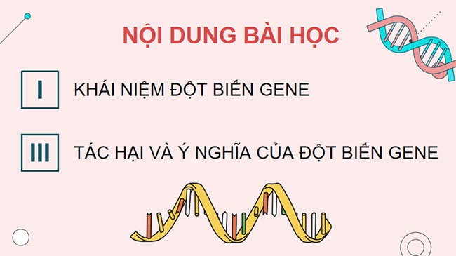 PowerPoint KHTN 9 Bài 38: Đột biến gene