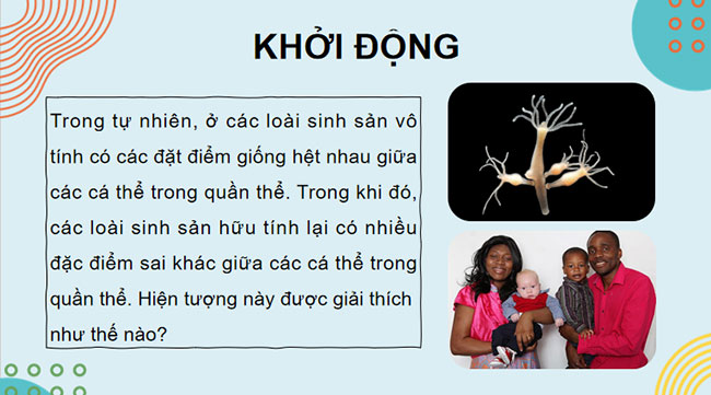 PowerPoint KHTN 9 Bài 43: Di truyền nhiễm sắc thể