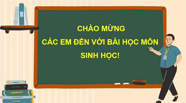 PowerPoint KHTN 9 Bài 39