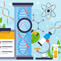 Giáo án Khoa học tự nhiên 9 Bài 37: Nucleic acid và ứng dụng