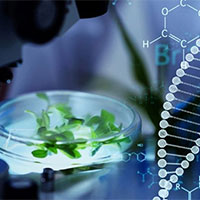 Giáo án Khoa học tự nhiên 9 Bài 40: Từ gene đến tính trạng