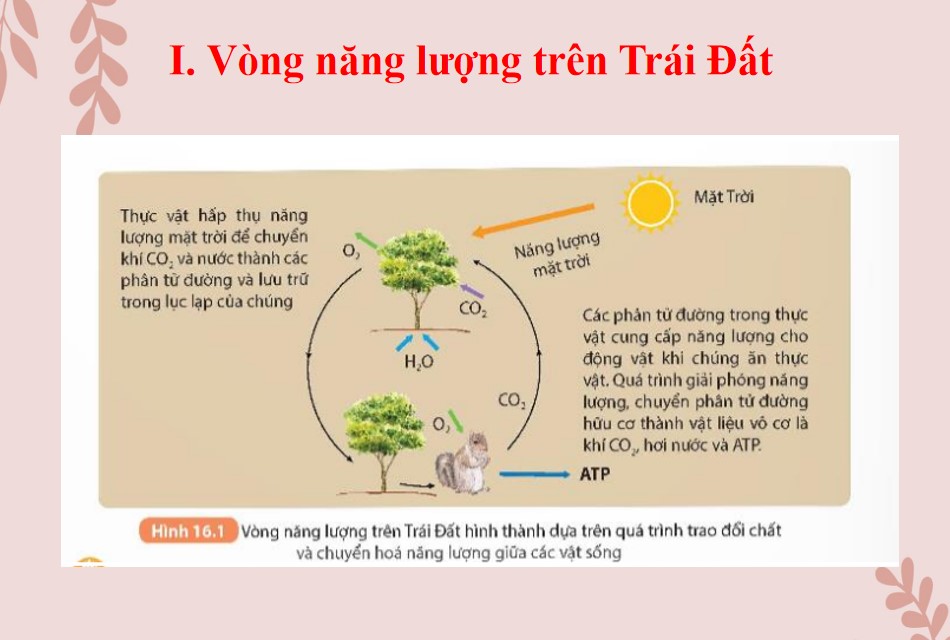 PowerPoint Khoa học tự nhiên 9 KNTT Bài 16