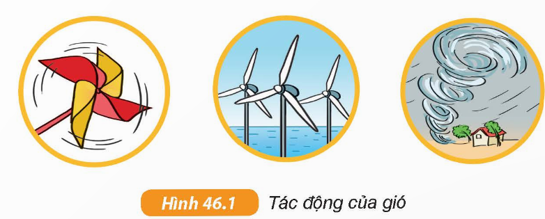 Giải KHTN lớp 6 bài 46