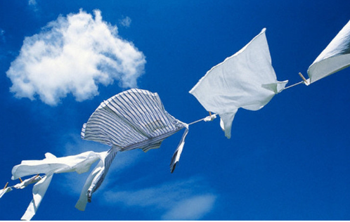 Giải KHTN lớp 6 bài 46