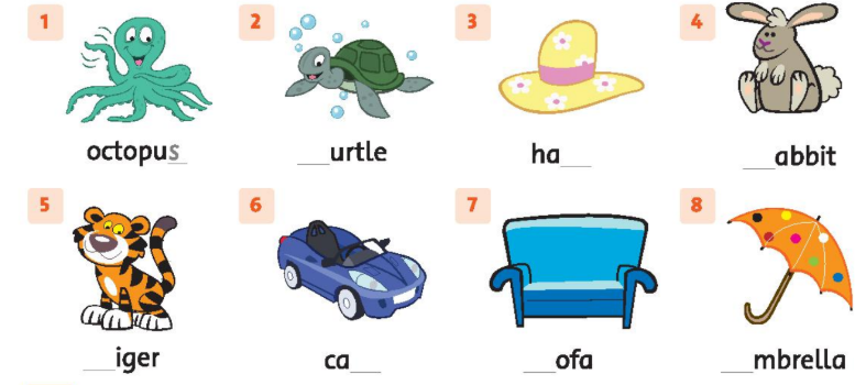 SBT tiếng Anh 2 unit 5 Where's the ball? lesson 5