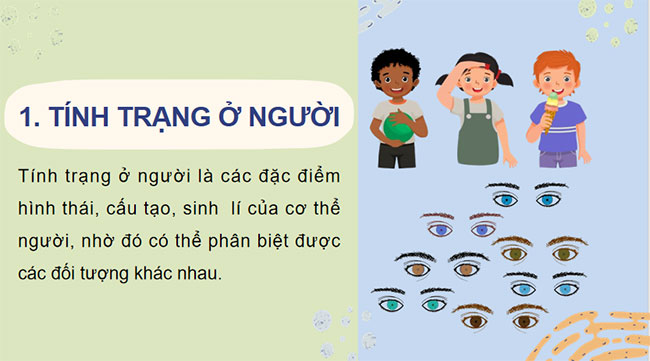 Giáo án Sinh học 9 Bài 44: Di truyền học với con người