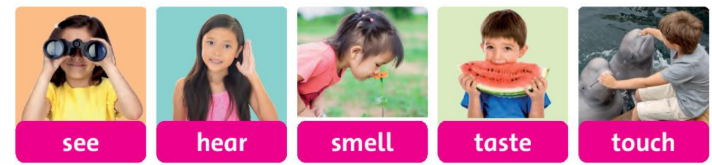 Tiếng Anh lớp 3 Fluency Time! 3 - Lesson 2