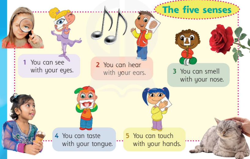 Tiếng Anh lớp 3 Fluency Time! 3 - Lesson 2