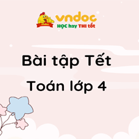 Đề cương ôn tập Tết môn Toán lớp 4