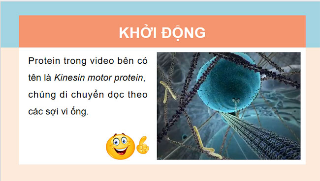 Giáo án Hóa học 9 Bài 29: Protein