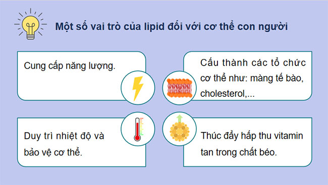 Giáo án Hóa học 9 Bài 26: Lipid và chất béo