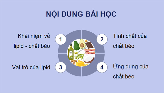 Giáo án Hóa học 9 Bài 26: Lipid và chất béo