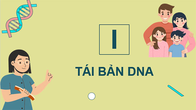 Giáo án Sinh học 9 Bài 34: Từ gene đến tính trạng