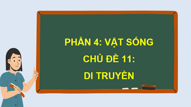 PowerPoint KHTN 9 Bài 33 Cánh diều