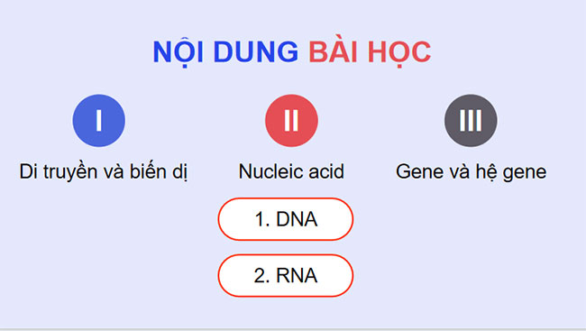 PowerPoint KHTN 9 Bài 33 Cánh diều