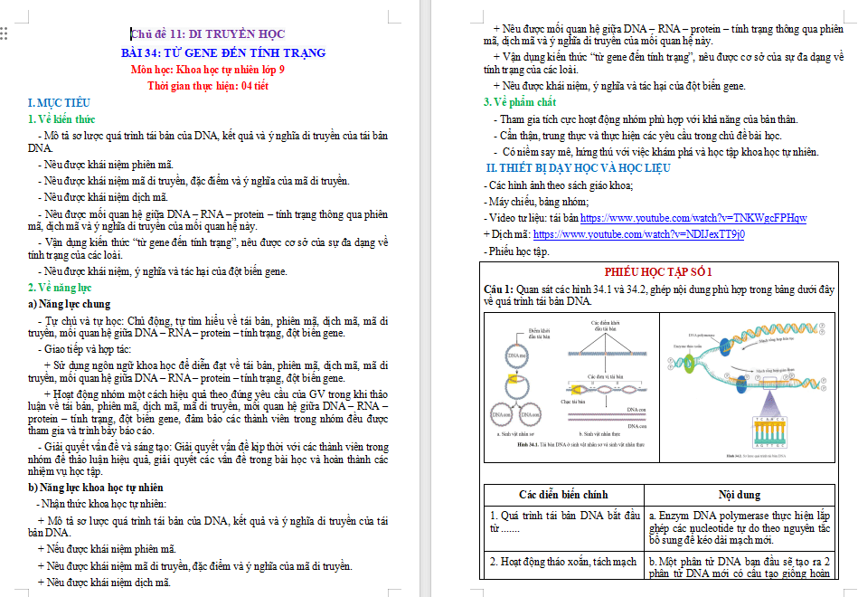 Giáo án Sinh học 9 Bài 34: Từ gene đến tính trạng
