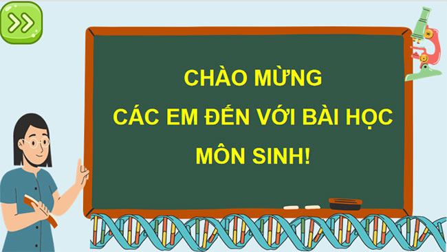 Giáo án PowerPoint KHTN 9 Bài 36 Cánh diều