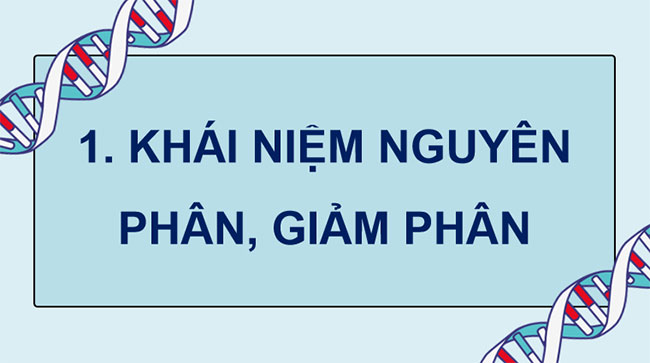 Giáo án PowerPoint KHTN 9 Bài 36 Cánh diều