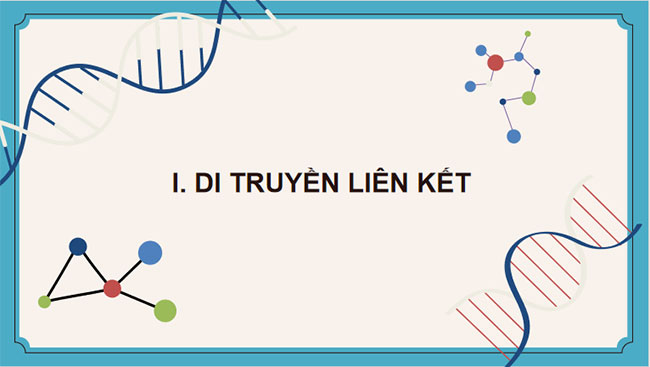 Giáo án PowerPoint KHTN 9 Bài 37 Cánh diều