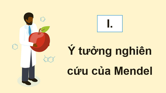 Giáo án PowerPoint KHTN 9 Bài 38 Cánh diều