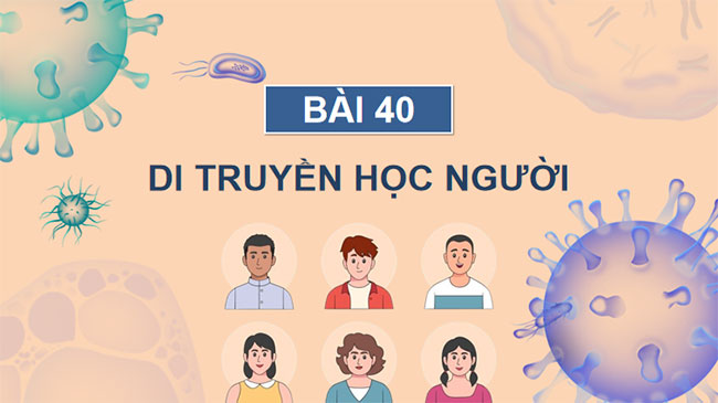 PowerPoint KHTN 9 Bài 40 Cánh diều