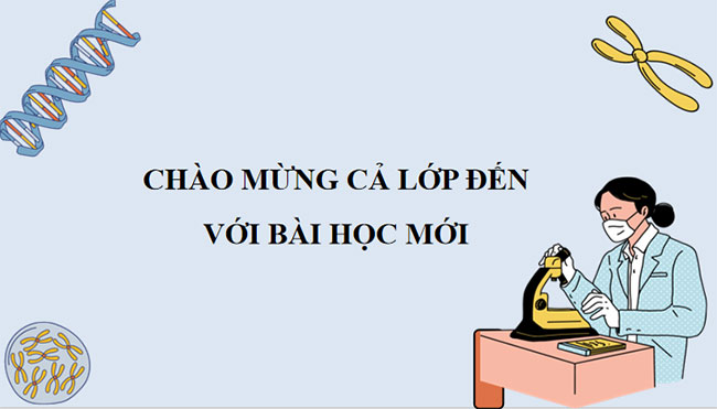  PowerPoint KHTN 9 Bài 41 Cánh diều 