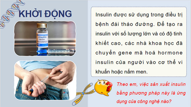  PowerPoint KHTN 9 Bài 41 Cánh diều 