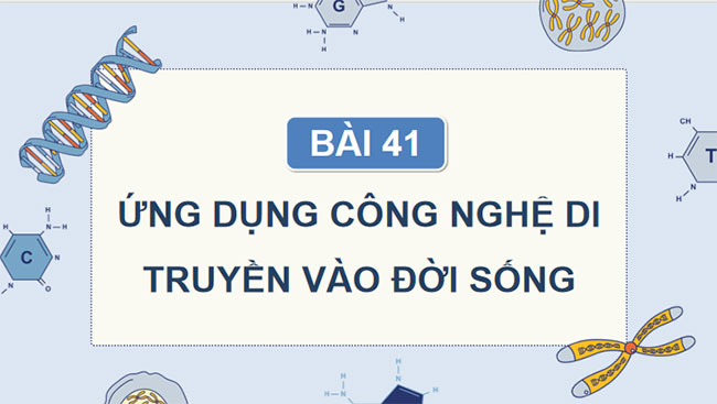  PowerPoint KHTN 9 Bài 41 Cánh diều 