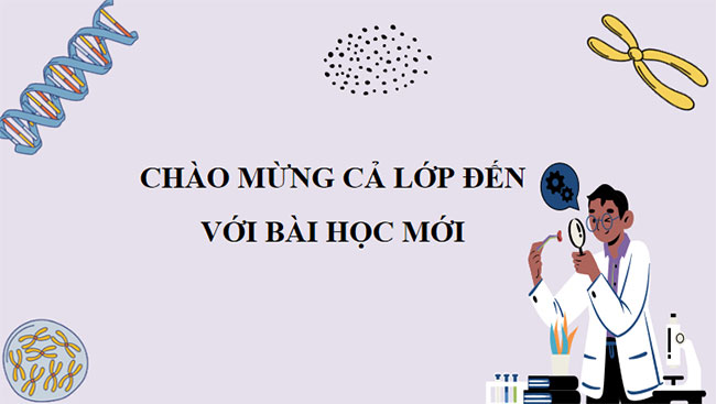 PowerPoint KHTN 9 Bài tập Chủ đề 11