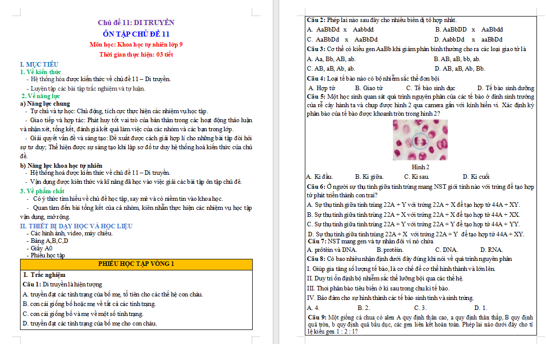 PowerPoint KHTN 9 Bài tập Chủ đề 11