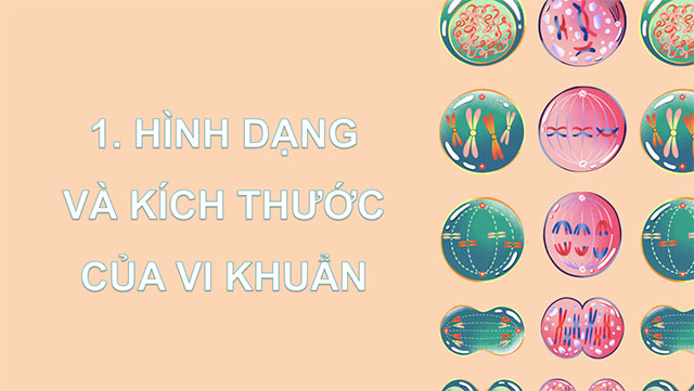 PowerPoint Khoa học 5 Vi khuẩn quanh ta