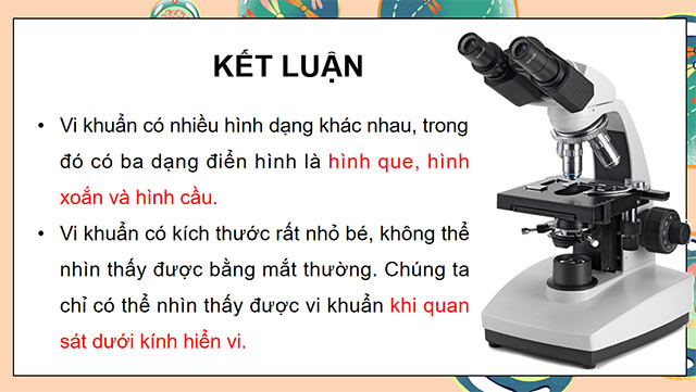 PowerPoint Khoa học 5 Vi khuẩn quanh ta