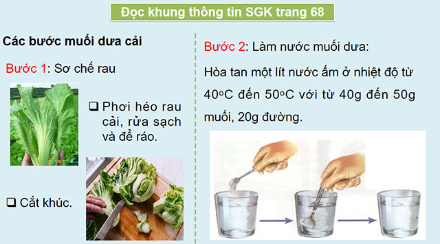 PowerPoint Khoa học 5 Vi khuẩn có ích trong chế biến thực phẩm