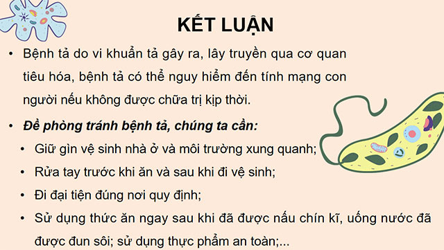 PowerPoint Khoa học 5 Một số bệnh ở người do vi khuẩn gây ra