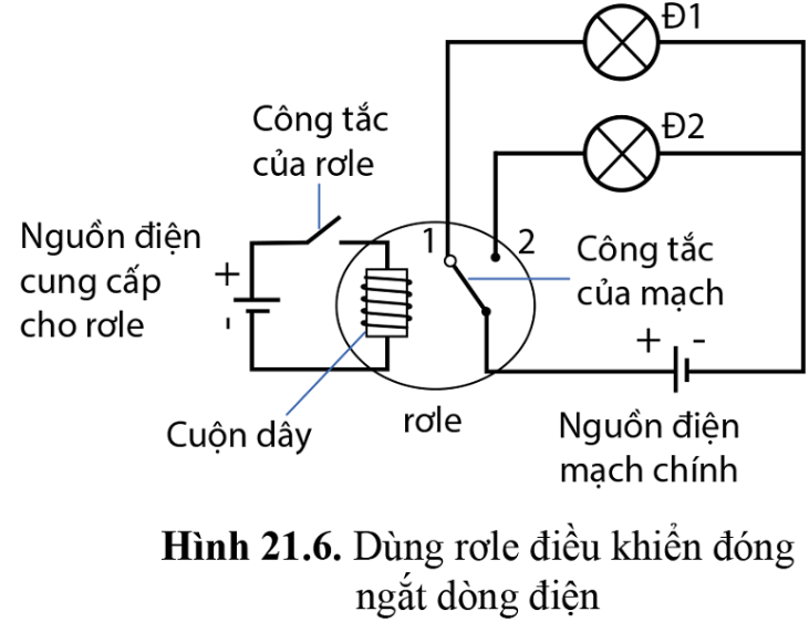 Câu hỏi 3 trang 104 KHTN 8 sách Cánh diều