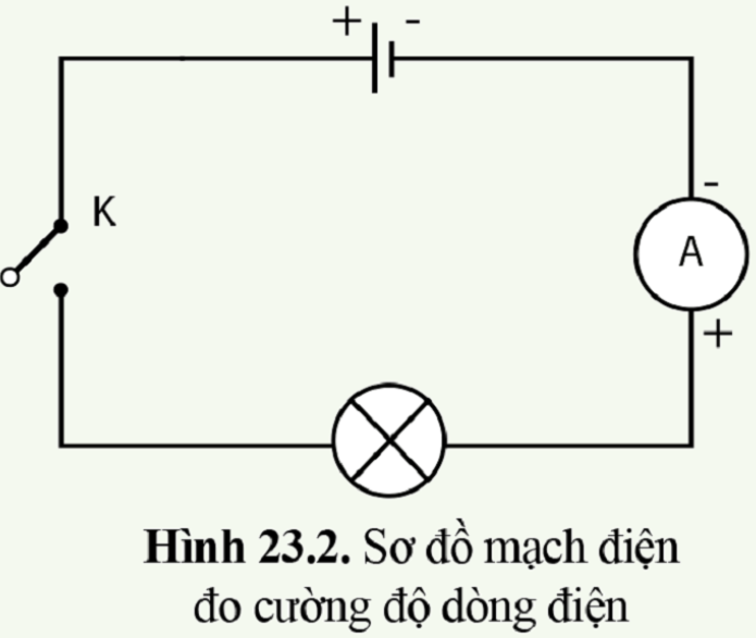 Thực hành 1 trang 109 KHTN 8 sách Cánh diều