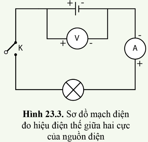 Thực hành 2 trang 110 KHTN 8 sách Cánh diều