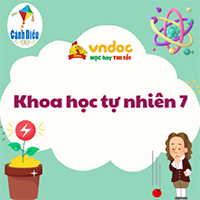 Giải Khoa học tự nhiên 7 Bài tập Chủ đề 5 Cánh diều