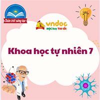 Giải Khoa học tự nhiên 7 Bài 23: Quang hợp ở thực vật CTST