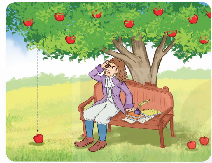 Bài 43: Trọng lượng, lực hấp dẫn