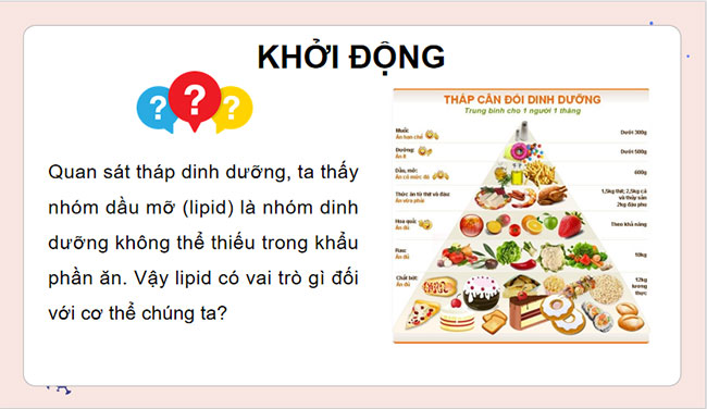 Giáo án Hóa học 9 Bài 25: Lipid và chất béo