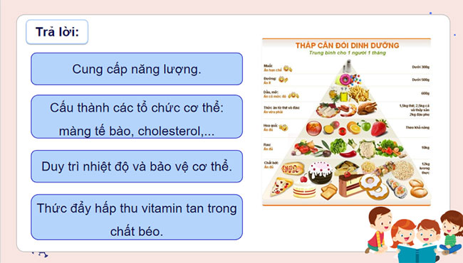 Giáo án Hóa học 9 Bài 25: Lipid và chất béo