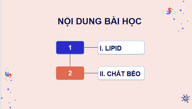 Giáo án Hóa học 9 Bài 25: Lipid và chất béo