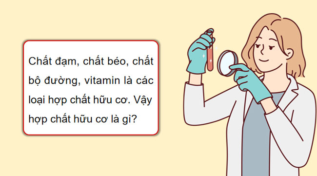 Giáo án Hóa học 9 Bài 19 Giới thiệu về chất hữu cơ