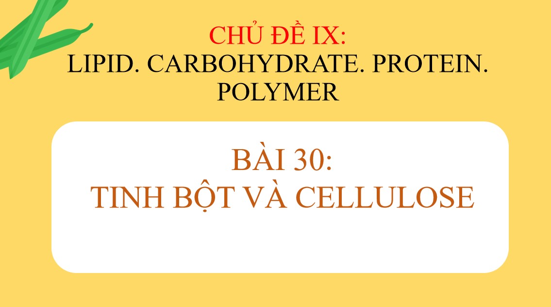 PowerPoint Khoa học tự nhiên 9 KNTT Bài 30