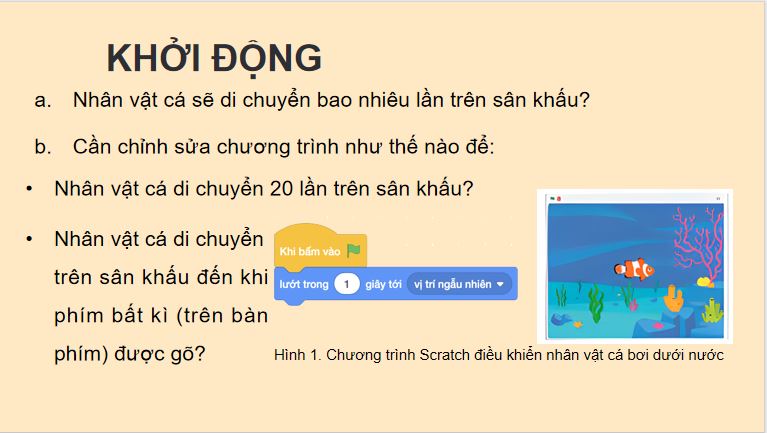 PowerPoint Tin học 5 Bài 11: Cấu trúc lặp